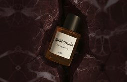 All Fragrances