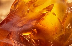Amber